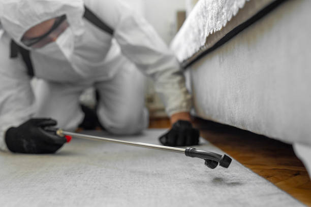 Professional Cockroach Control technician working in Clinton, WA