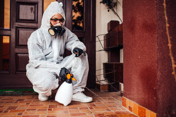 Reliable Cockroach Control contractor in Clinton, WA by Nex Pest Control